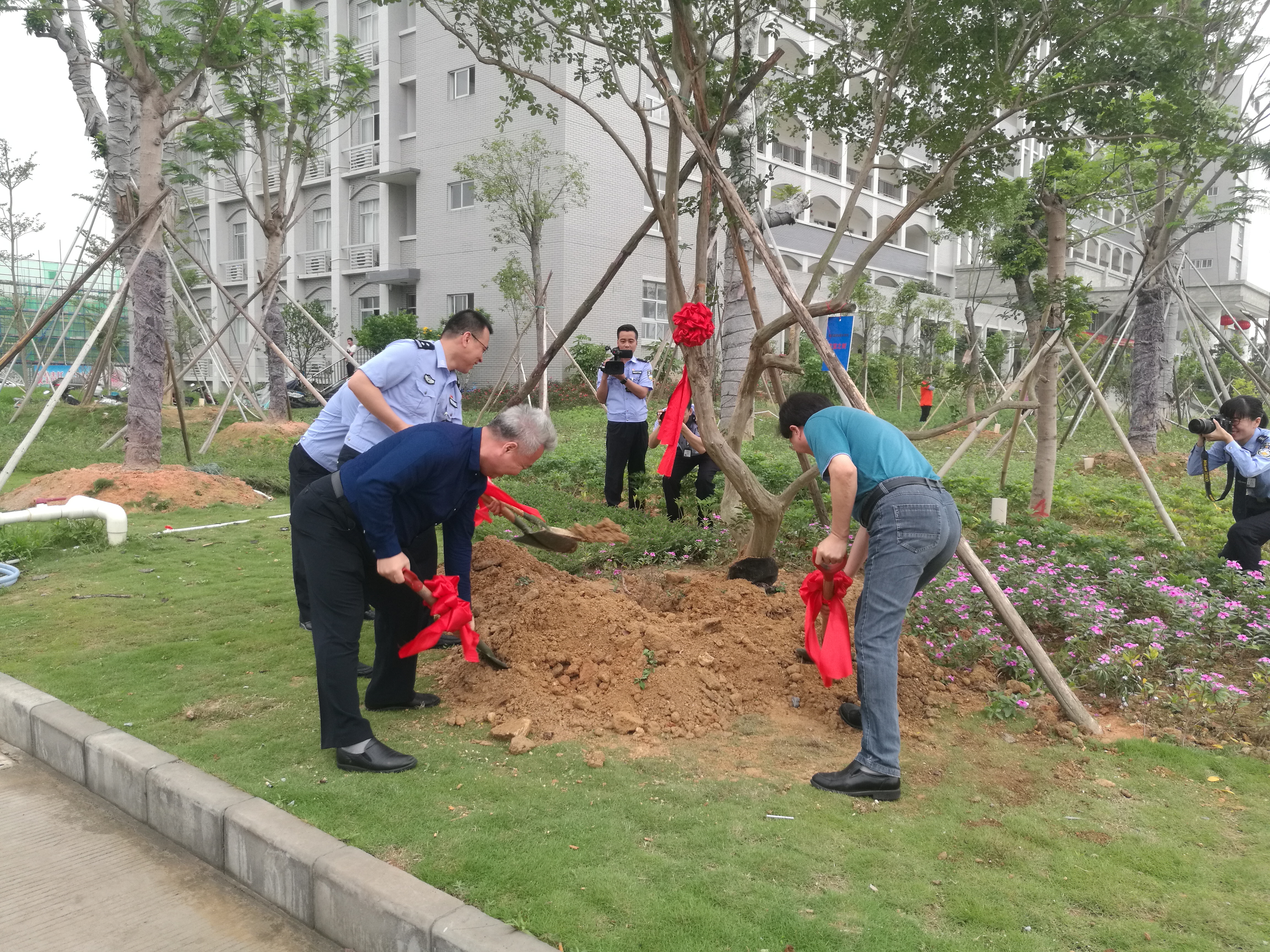 共植友谊树